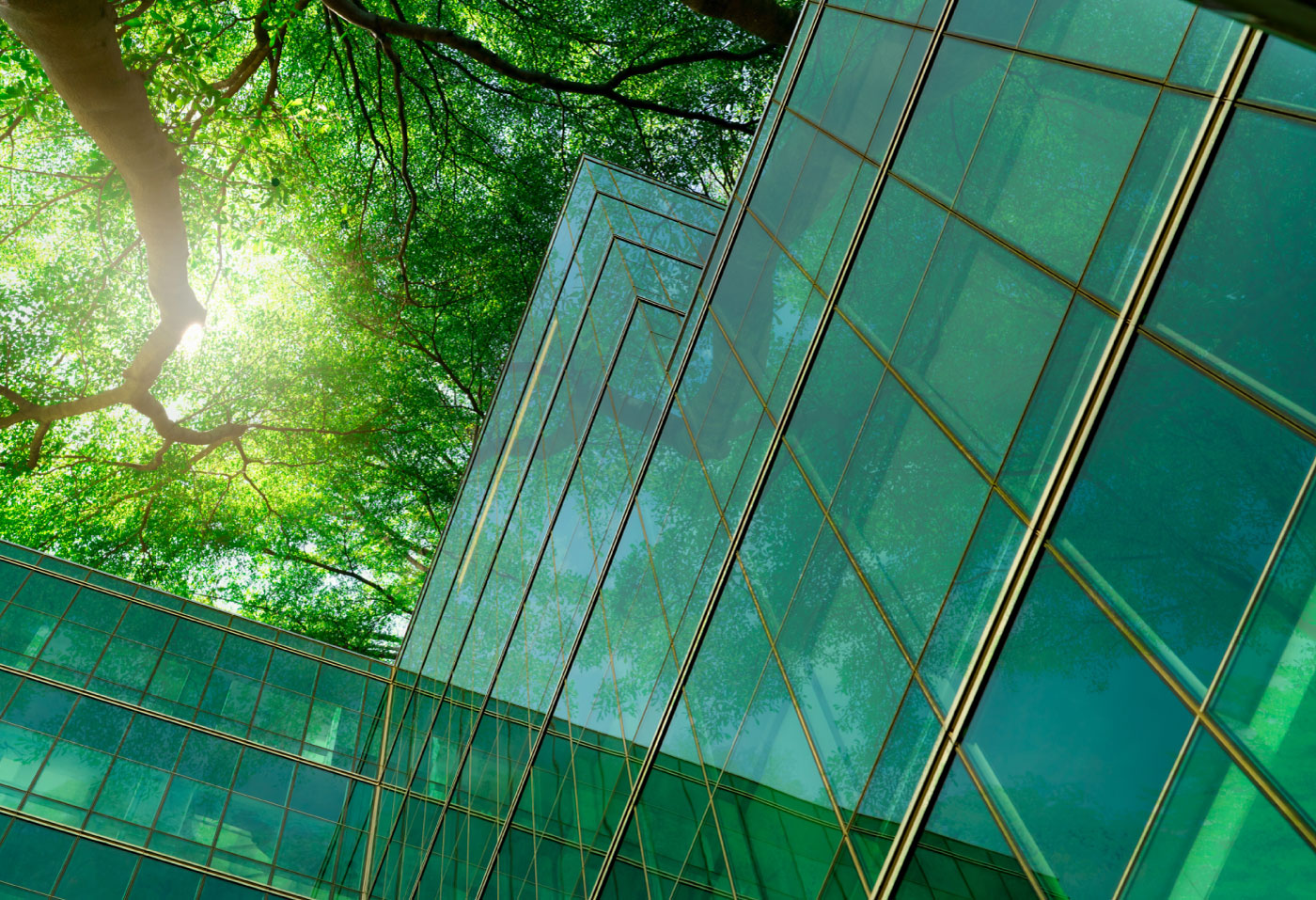 Otras soluciones de eficiencia energética